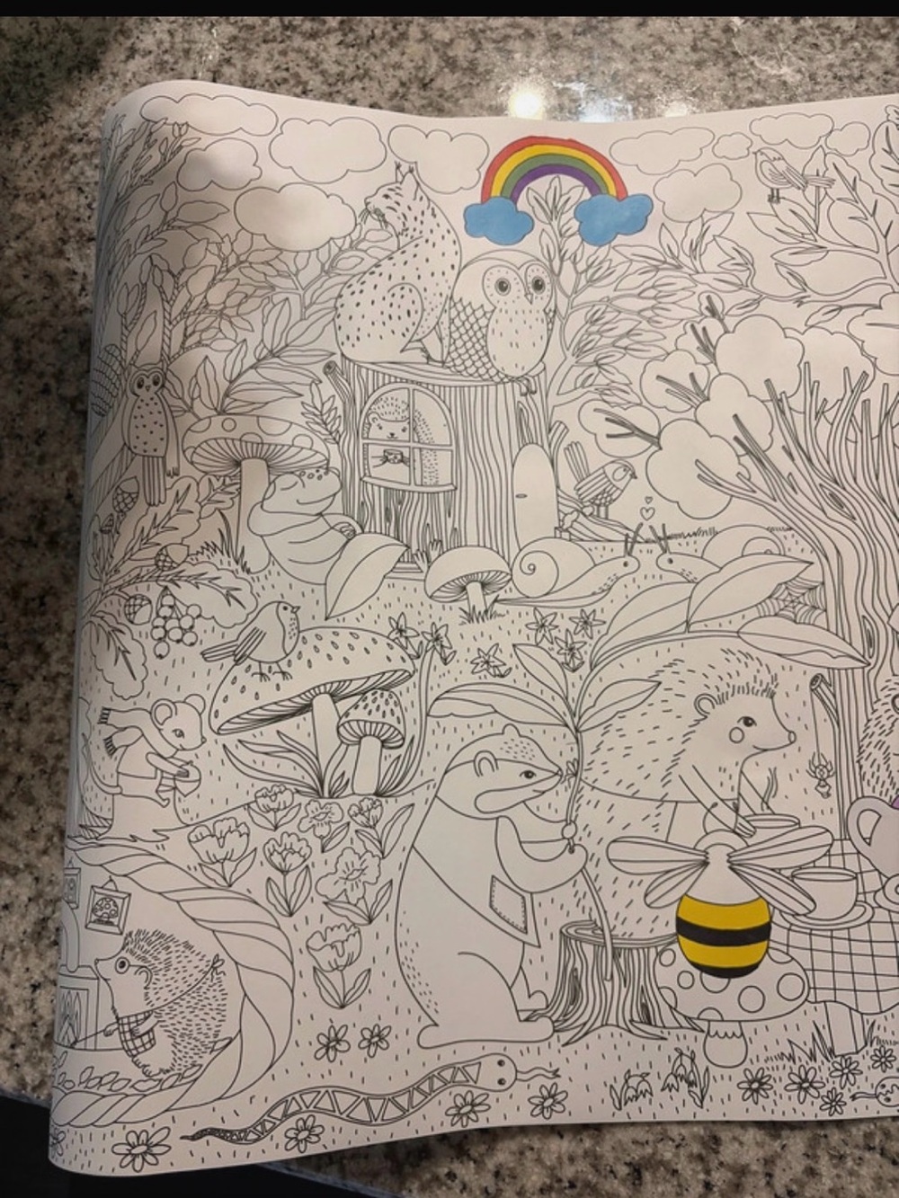 Roll of nature coloring paper